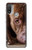 S0519 PitBull Visage Etui Coque Housse pour Motorola Moto E20,E30,E40