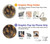S3691 Plume de paon d'or Etui Coque Housse pour Samsung Galaxy S22