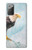 S3843 Pygargue à tête blanche sur glace Etui Coque Housse pour Samsung Galaxy Note 20