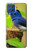 S3839 Oiseau bleu du bonheur Oiseau bleu Etui Coque Housse pour Samsung Galaxy M62