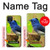 S3839 Oiseau bleu du bonheur Oiseau bleu Etui Coque Housse pour Google Pixel 4