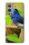 S3839 Oiseau bleu du bonheur Oiseau bleu Etui Coque Housse pour OnePlus 9 Pro