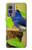 S3839 Oiseau bleu du bonheur Oiseau bleu Etui Coque Housse pour OnePlus 9