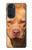 S2903 Chien américain Pitbull Etui Coque Housse pour Motorola Edge 30 Pro