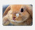 S0242 Lapin mignon Etui Coque Housse pour MacBook Air 13″ (2022,2025) - A2681, A3113, A3240
