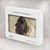 S2562 fossile poisson Etui Coque Housse pour MacBook Air 13″ (2022,2025) - A2681, A3113, A3240