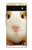 S1619 Mignon de porc Guinée Etui Coque Housse pour Google Pixel 6a
