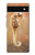 S2674 Hippocampe squelette Fossile Etui Coque Housse pour Google Pixel 6a