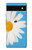 S3043 Coccinelle Daisy millésimé Etui Coque Housse pour Google Pixel 6a