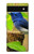 S3839 Oiseau bleu du bonheur Oiseau bleu Etui Coque Housse pour Google Pixel 6a