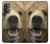 S0840 Grizzly Bear visage Etui Coque Housse pour OnePlus Nord N20 5G