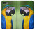 S3888 Ara Visage Oiseau Etui Coque Housse pour iPhone 7 Plus, iPhone 8 Plus
