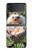S3863 Peinture hérisson nain hérisson nain Etui Coque Housse pour Samsung Galaxy Z Flip 3 5G