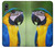 S3888 Ara Visage Oiseau Etui Coque Housse pour Huawei P20 Lite