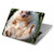 S3863 Peinture hérisson nain hérisson nain Etui Coque Housse pour MacBook 12″ - A1534