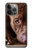 S0519 PitBull Visage Etui Coque Housse pour iPhone 14 Pro