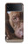 S0519 PitBull Visage Etui Coque Housse pour Samsung Galaxy Z Flip 4