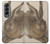 S3781 Albrecht Durer Young Hare Etui Coque Housse pour Samsung Galaxy Z Fold 4