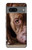 S0519 PitBull Visage Etui Coque Housse pour Google Pixel 7