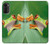 S1047 Petite grenouille Etui Coque Housse pour Motorola Moto G52, G82 5G