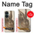 S3781 Albrecht Durer Young Hare Etui Coque Housse pour OnePlus Nord CE 3 Lite, Nord N30 5G