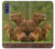 S3917 Cochon d'Inde géant de la famille Capybara Etui Coque Housse pour Motorola G Pure