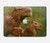S3917 Cochon d'Inde géant de la famille Capybara Etui Coque Housse pour MacBook Pro 14 M1-M5 A2442,A2779,A2992,A2918,A3112,A3185,A3401,A3434,A3112