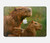 S3917 Cochon d'Inde géant de la famille Capybara Etui Coque Housse pour MacBook Air 15″ (2023,2024) - A2941, A3114