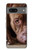 S0519 PitBull Visage Etui Coque Housse pour Google Pixel 7a