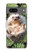 S3863 Peinture hérisson nain hérisson nain Etui Coque Housse pour Google Pixel 7a