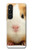 S1619 Mignon de porc Guinée Etui Coque Housse pour Sony Xperia 1 V