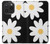 S2315 Fleurs de marguerite blanche Etui Coque Housse pour iPhone 15 Pro