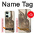 S3781 Albrecht Durer Young Hare Etui Coque Housse pour OnePlus Nord 3