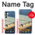 S3347 Utagawa Hiroshige douche soudaine Etui Coque Housse pour Samsung Galaxy A05s