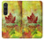 S2523 Canada Feuille d'érable d'automne Etui Coque Housse pour Sony Xperia 1 VI