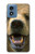 S0840 Grizzly Bear visage Etui Coque Housse pour Motorola Moto G Play 4G (2024)