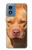 S2903 Chien américain Pitbull Etui Coque Housse pour Motorola Moto G Play 4G (2024)
