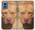 S2903 Chien américain Pitbull Etui Coque Housse pour Motorola Moto G Play 4G (2024)