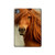 S1595 Beau cheval marron Etui Coque Housse pour iPad Pro 11 (2024,2025)