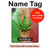 S2109 Drapeau Rasta Etui Coque Housse pour iPad Pro 13 (2024,2025), Air 13 2026
