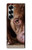 S0519 PitBull Visage Etui Coque Housse pour Samsung Galaxy Z Fold 6