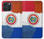 S3017 Paraguay Drapeau Etui Coque Housse pour iPhone 16 pro max