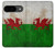 S2976 Pays de Galles Football Football Drapeau Etui Coque Housse pour Google Pixel 9 S2976 Pays de Galles Football Football Drapeau Etui Coque Housse pour Google Pixel 9