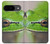 S3845 Grenouille verte Etui Coque Housse pour Google Pixel 9
