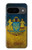 S3858 Drapeau de l'Ukraine Etui Coque Housse pour Google Pixel 9