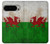 S2976 Pays de Galles Football Football Drapeau Etui Coque Housse pour Google Pixel 9 Pro S2976 Pays de Galles Football Football Drapeau Etui Coque Housse pour Google Pixel 9 Pro