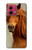 S1595 Beau cheval marron Etui Coque Housse pour Motorola Moto G84 S1595 Beau cheval marron Etui Coque Housse pour Motorola Moto G84