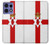 S3089 Drapeau de l'Irlande du Nord Etui Coque Housse pour Motorola Edge 50 Pro