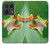 S1047 Petite grenouille Etui Coque Housse pour Motorola Edge 50 Ultra