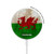 S2976 Pays de Galles Football Football Drapeau Chargeur magnétique sans fil avec MagSafe 15W pour iPhone 16 15 14 13 12